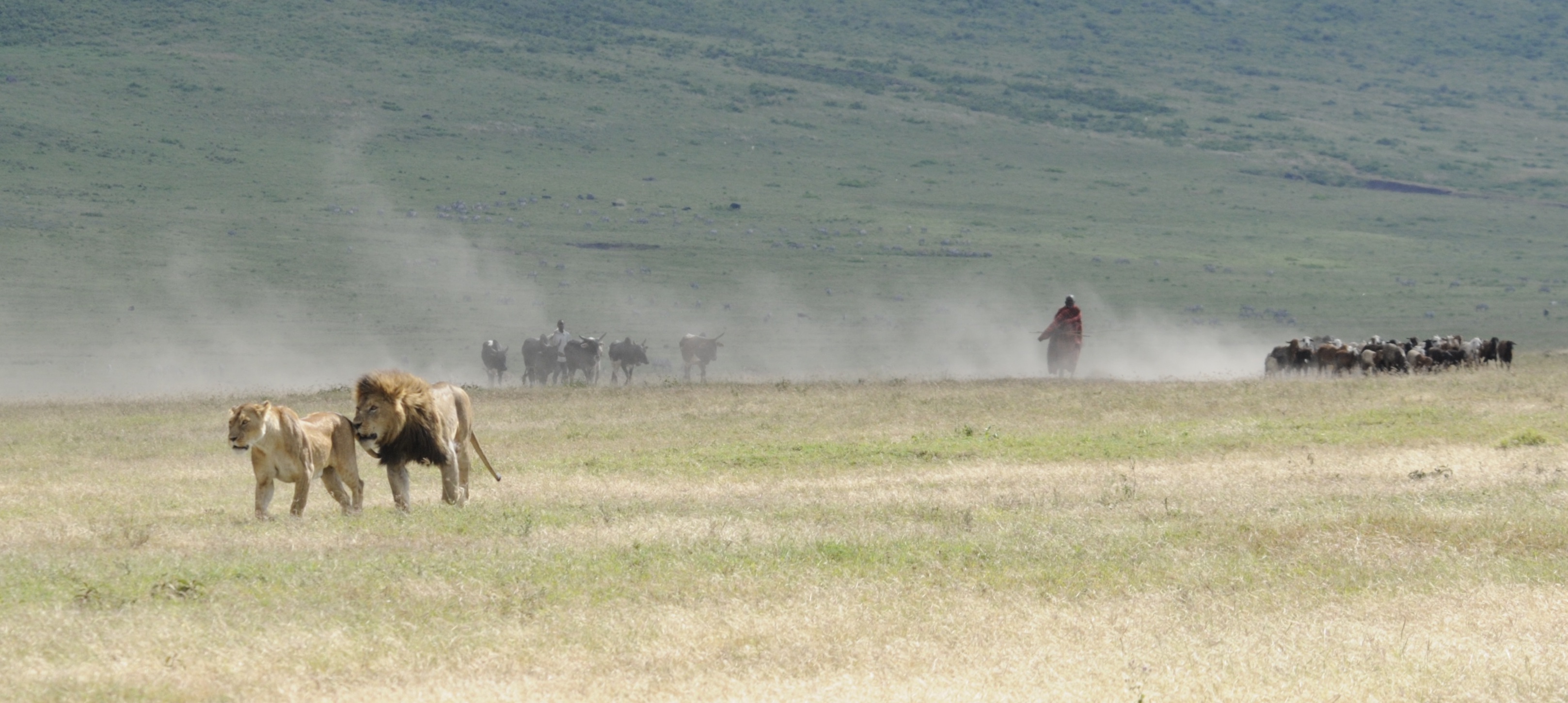 Inside Ngorongoro Crater