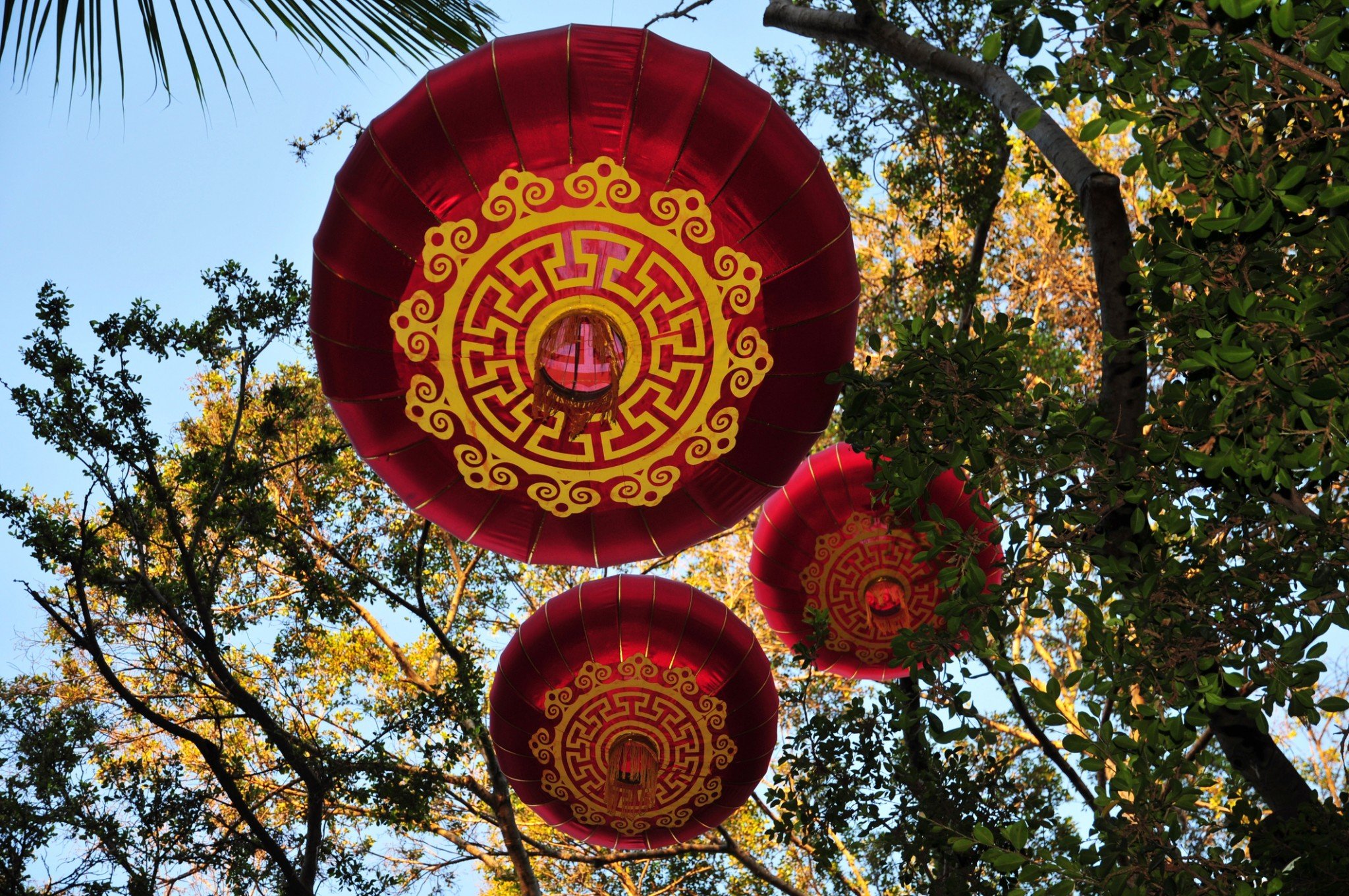 Chinese New Years in Hawaii